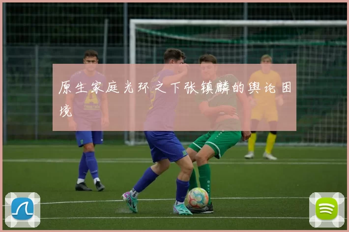 原生家庭光环之下张镇麟的舆论困境
