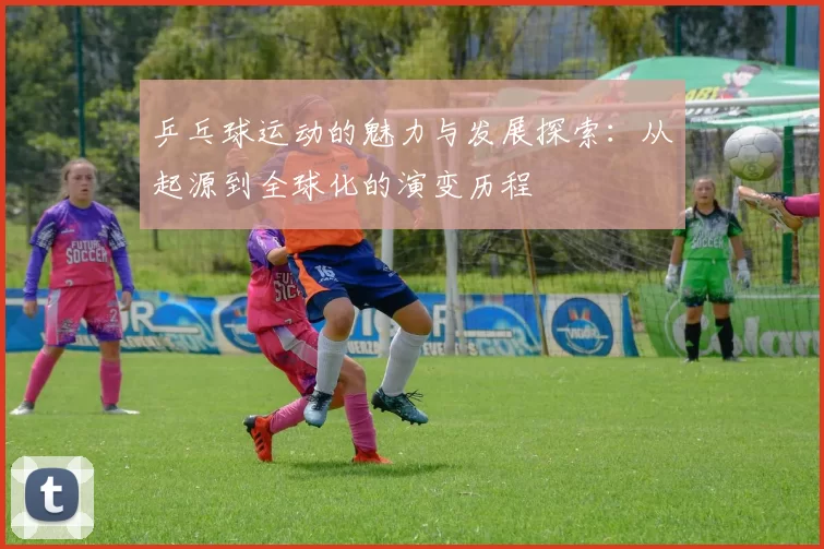 乒乓球运动的魅力与发展探索：从起源到全球化的演变历程