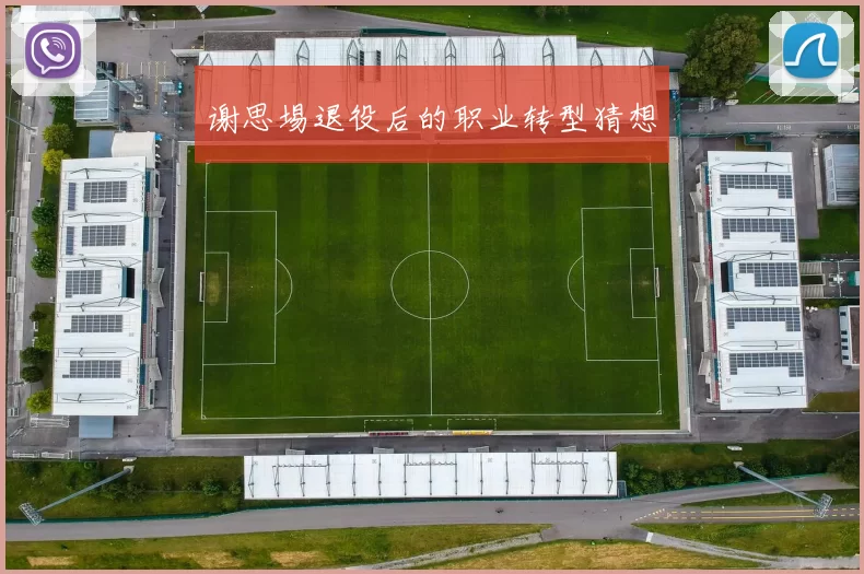 谢思埸退役后的职业转型猜想